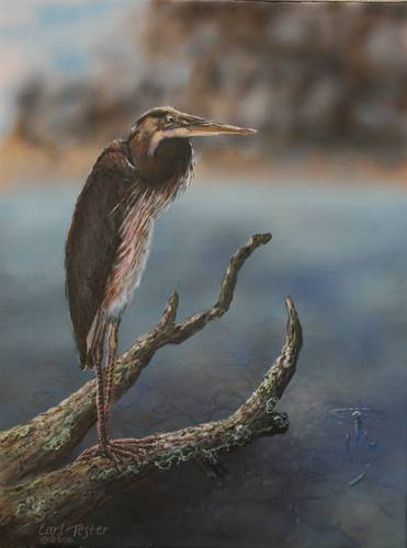 Painting-Wildlife-The Sentinel