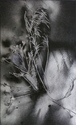 Nature Morte #1