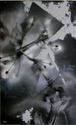 Nature Morte #4