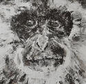 Painting--Oil-Wildlife