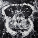 Painting--Oil-Wildlife'Animal' II