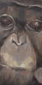 Painting--Oil-Wildlifeyoung bonobo