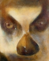 Painting--Oil-Wildlifering-tailed lemur