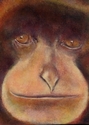 Painting--Oil-Wildlifesiamang
