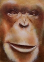Painting--Oil-Wildlifechimp I