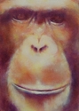 Painting--Oil-Wildlifechimp II