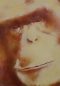 Painting--Oil-Wildlifechimp III