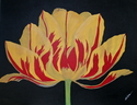 Parrot Tulip