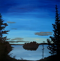 Midnight Forest
