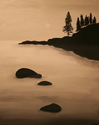 The Coast