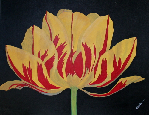 Painting-Acrylic-Parrot Tulip