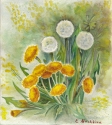 Dandelions (thumbnail)