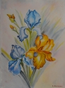 Irises (thumbnail)