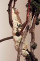 Reconnecting (Detail)