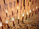 Oakland Murders'06
