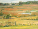 Painting--Oil-LandscapeLopez Island Farmlands