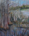 Grassy Waters Cypress