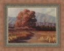 Robert Ferguson - Coachella Valley Oak