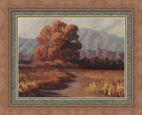 Coachella%20Valley%20Oak (large view)
