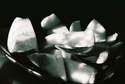 Apple (thumbnail)