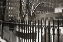Old%20New%20York (thumbnail)