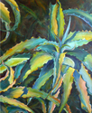 Felicite Imam - Agave Kaleidoscope