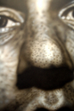 Close Up