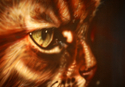 The Cats Eye