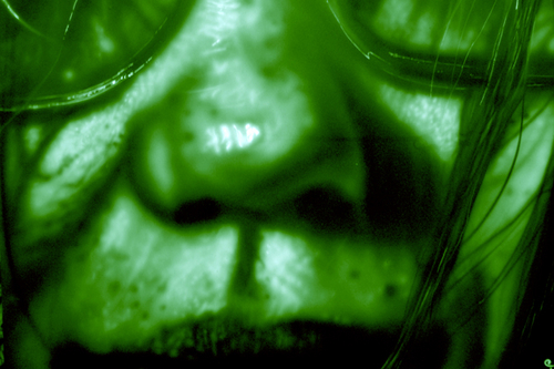 Mixed Media-Green  Glasses