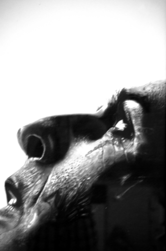 Drawing-Charcoal-Inspiration