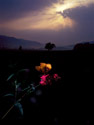 Dawn in the Great Smokies
