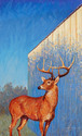 Augustus (thumbnail)