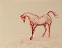 Sketch of Horse Sketch%20of%20Horse (thumbnail)