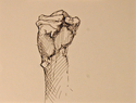 Pen%20%26%20Ink%20Sketch%20of%20Fist (thumbnail)