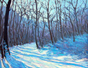 Old Logging Road in Winter Old%20Logging%20Road%20in%20Winter (thumbnail)