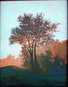 Sunrise behind the big trees Sunrise%20behind%20the%20big%20trees (thumbnail)