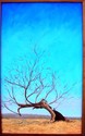 Hard Rock Maple Survivor in Winter Hard%20Rock%20Maple%20Survivor%20in%20Winter (thumbnail)