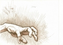 Reaching%20hand (thumbnail)