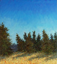 While in Stillness Waiting While%20in%20Stillness%20Waiting (thumbnail)