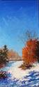 Pond Dam above the Devils Bath in Dec. Pond%20Dam%20above%20the%20Devils%20Bath%20in%20Dec. (thumbnail)
