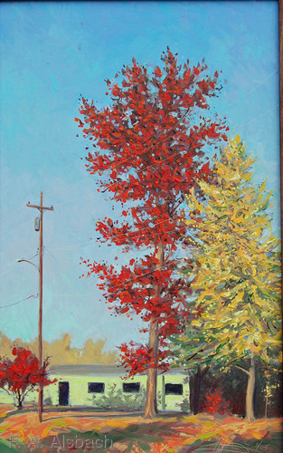 Red%20Oak%20on%20Eastwood%20st. (large view)