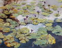 Kabi Ponds #7