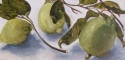 'Never ripe limes'