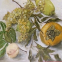 'Persimmon & friends'