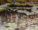 Kabi Ponds #14