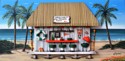 Miami%20Hurricanes%20Tiki%20Tailgate%20Party (thumbnail)