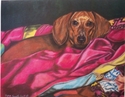 Nora Kolda - Dachshund in the Quilt