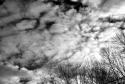 Robert Hopkins - Clouds #2