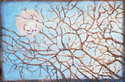 Overhead (thumbnail)