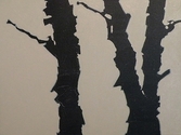 Black%20Birch (thumbnail)